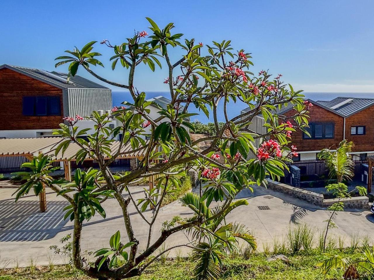 Le Reve Bleu Grand Anse Apartment Petite Île Екстериор снимка