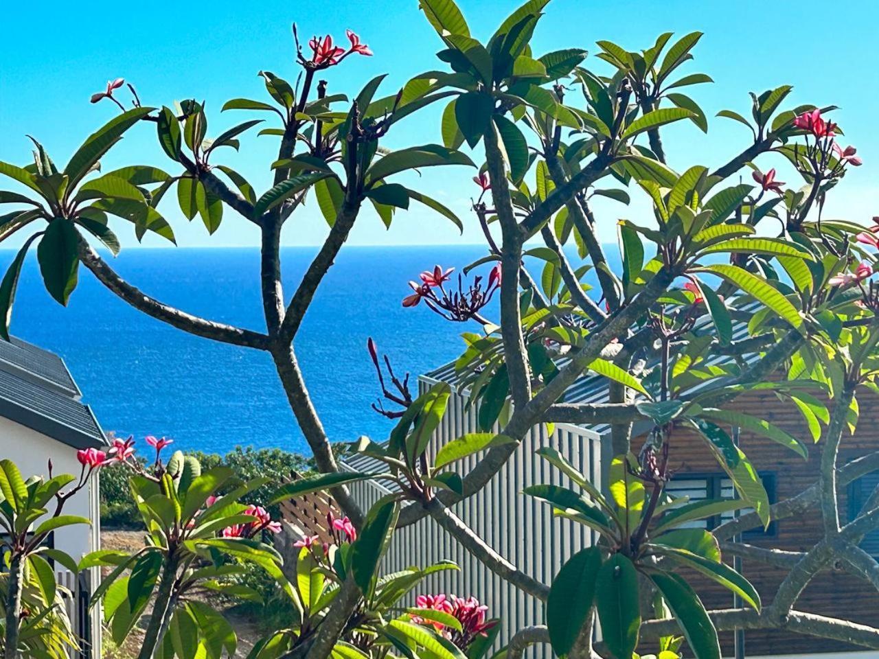 Le Reve Bleu Grand Anse Apartment Petite Île Екстериор снимка